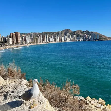 Apartment Casa Del Mediterraneo In The Old Town Of Benidorm